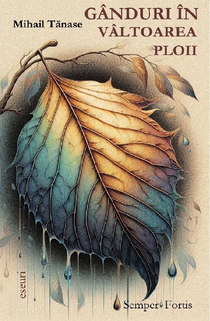 Gânduri în vâltoarea ploii