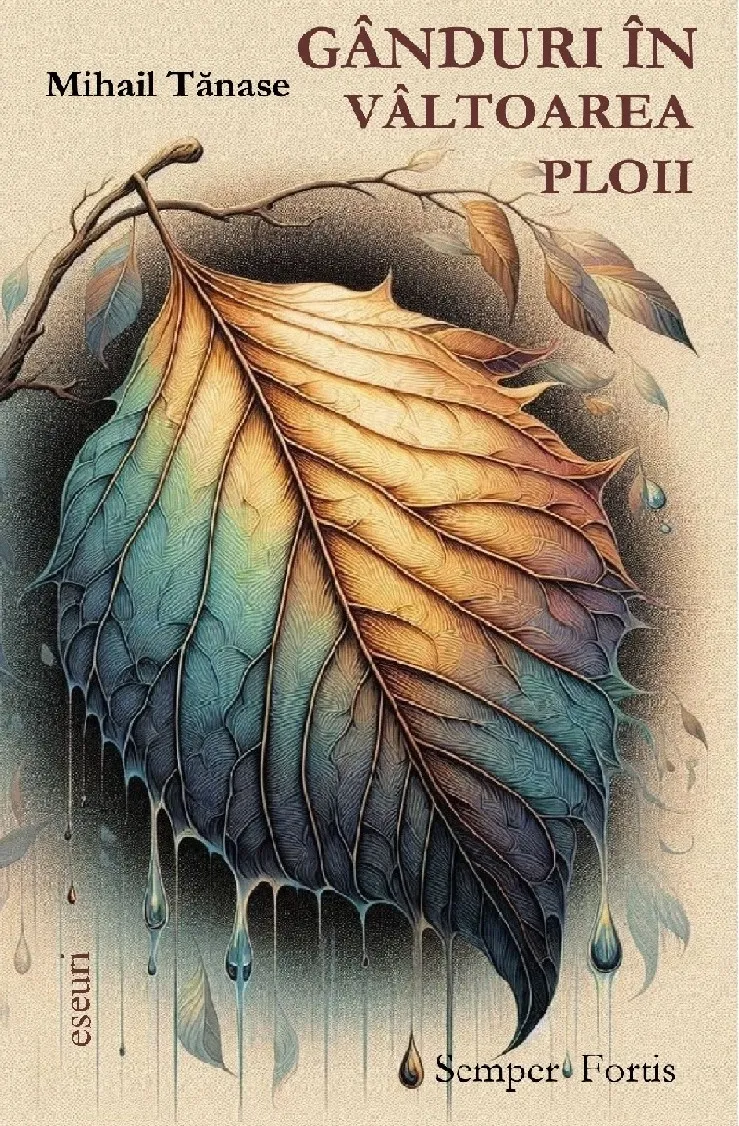 Gânduri în vâltoarea ploii